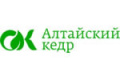 Алтайский Кедр